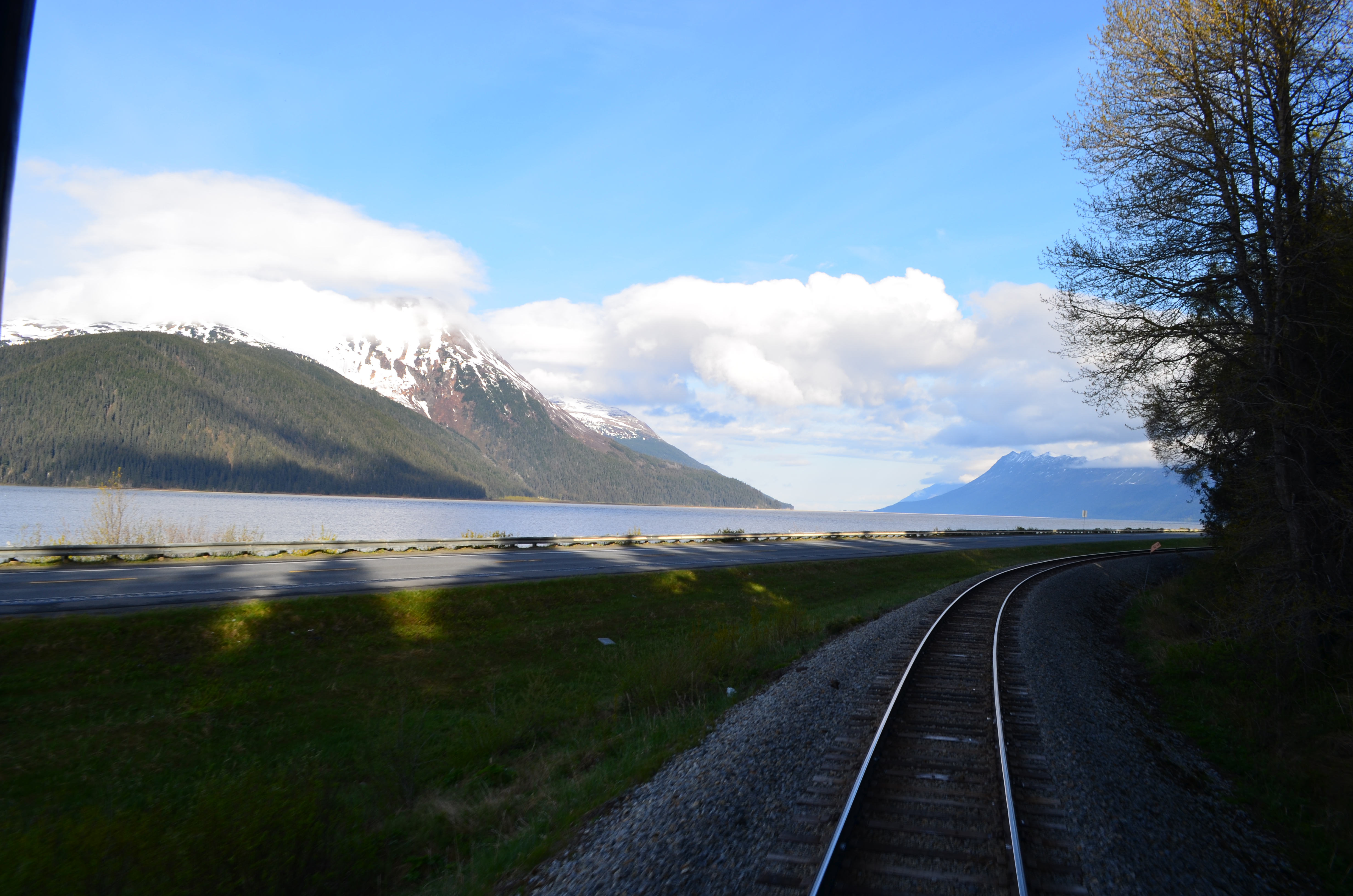 ./2017/08 - Alaska Cruise/05 - Train to Seward/DSC_0498.JPG